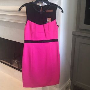 NWT Cynthia Steffe size 4 dress